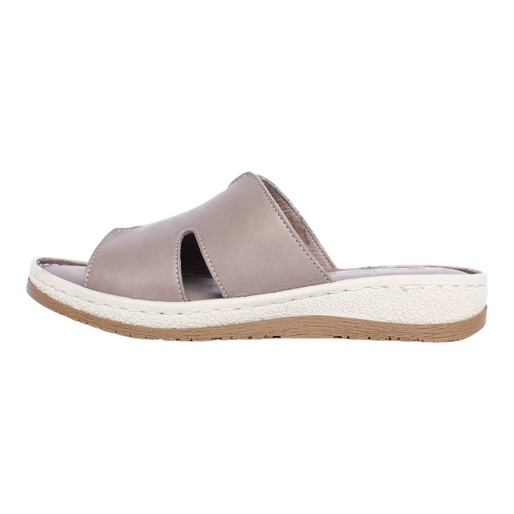 Sabot NL 05-8021 photo