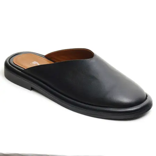 Sabot NL 55-80009-01 photo